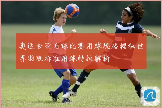 奥运会羽毛球比赛用球规格揭秘世界羽联标准用球特性解析