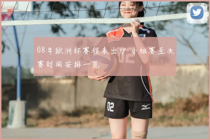 08年欧洲杯赛程表出炉 小组赛至决赛时间安排一览