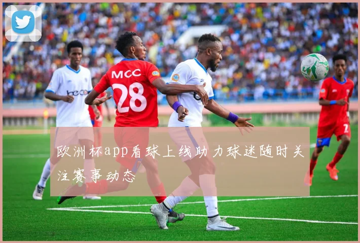 欧洲杯app看球上线助力球迷随时关注赛事动态