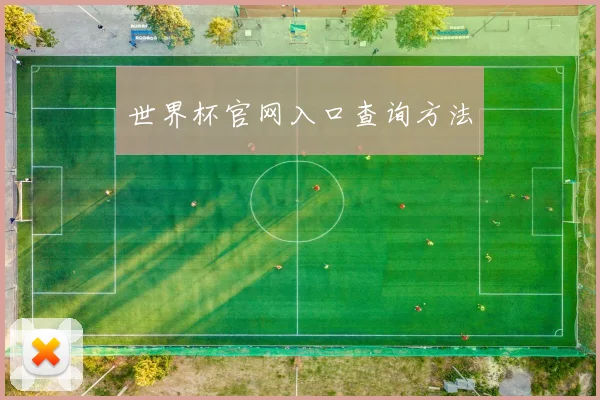 世界杯官网入口查询方法