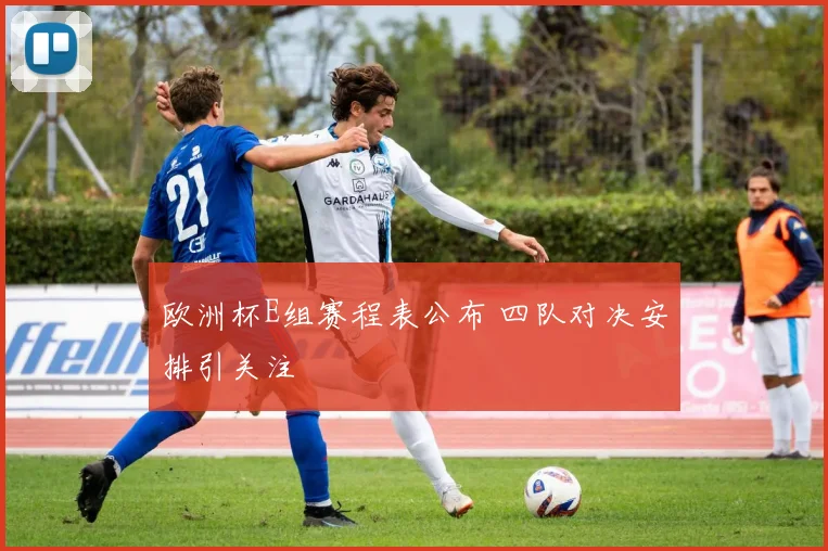 欧洲杯E组赛程表公布 四队对决安排引关注