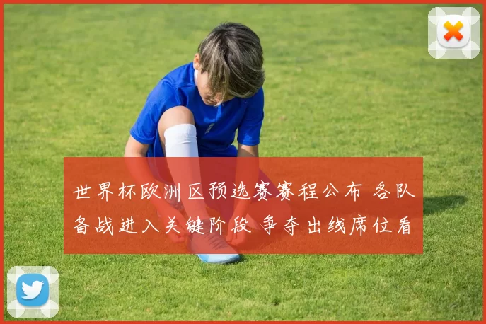 世界杯欧洲区预选赛赛程公布 各队备战进入关键阶段 争夺出线席位看点十足