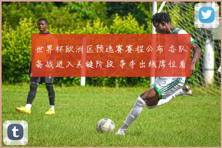 世界杯欧洲区预选赛赛程公布 各队备战进入关键阶段 争夺出线席位看点十足