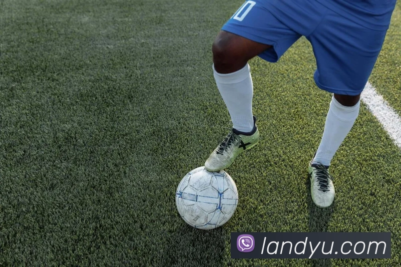 mksports官网登录平台生态图
